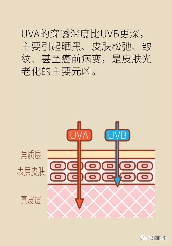 晒太阳如何做好防晒,太阳防晒注意什么事项