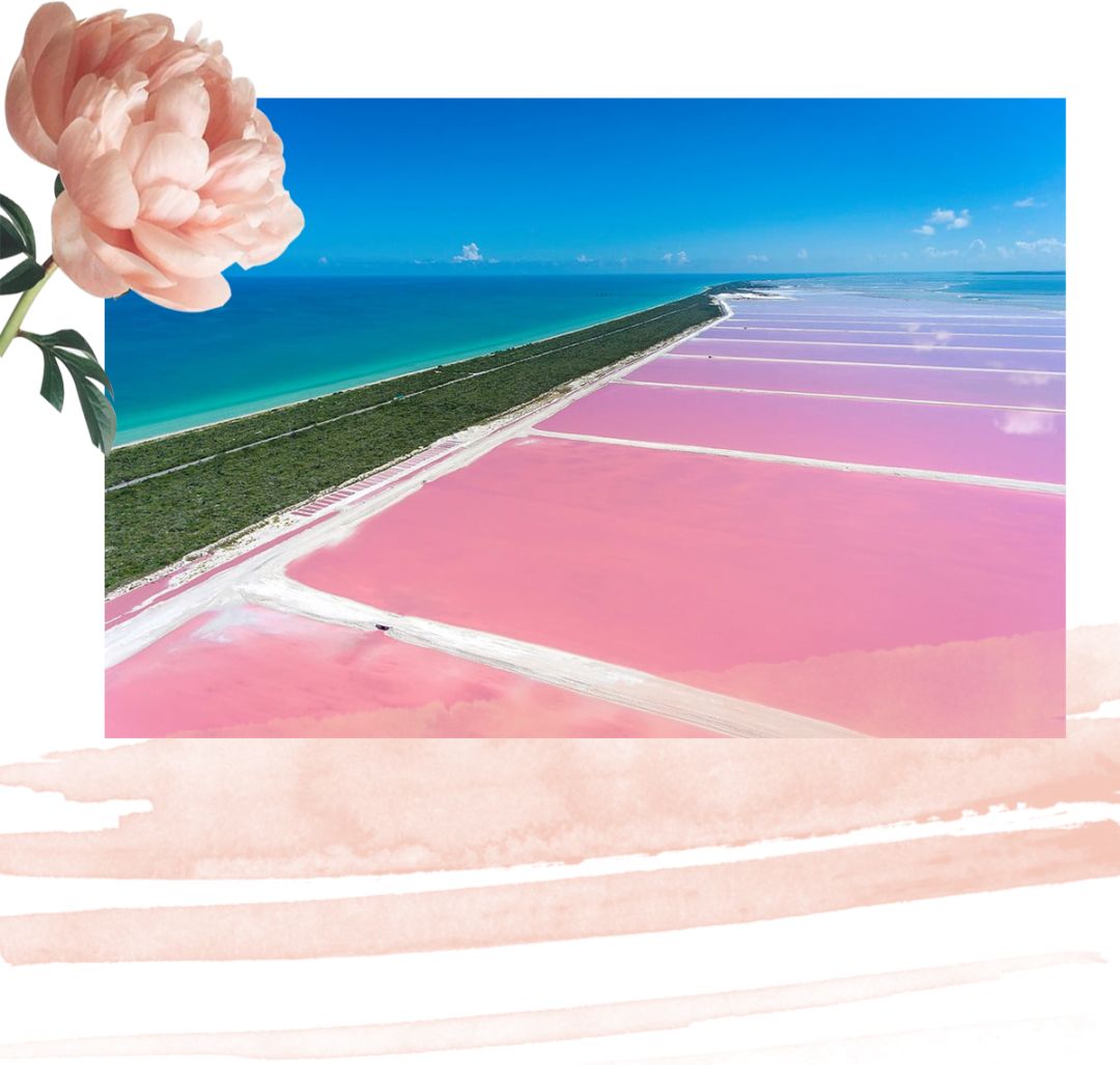 520去哪比较浪漫,520发愁送啥