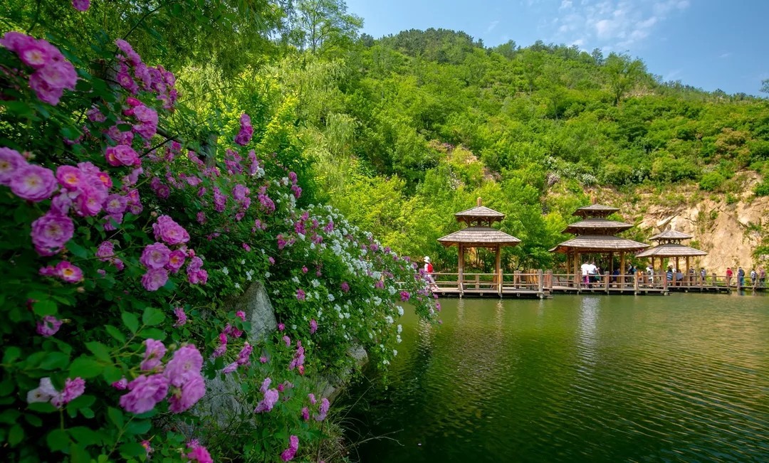 中国旅游日济南哪些景区免票,519旅游日优惠景区济南