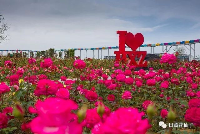 美炸了！初夏花仙子！有爱的人免费玩！把最美奉献给你！