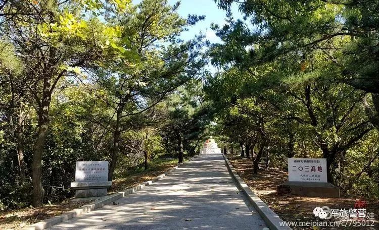 玩转大连森林公园,逛遍大连森林公园