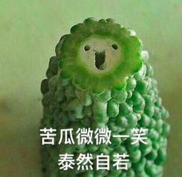 女星综艺秀耿直人设崩坏？转行直播“开医馆”反圈粉！