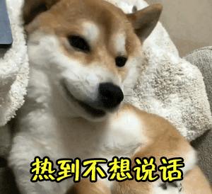 大到暴雨局地有雷暴大风,大到暴雨伴雷暴大风