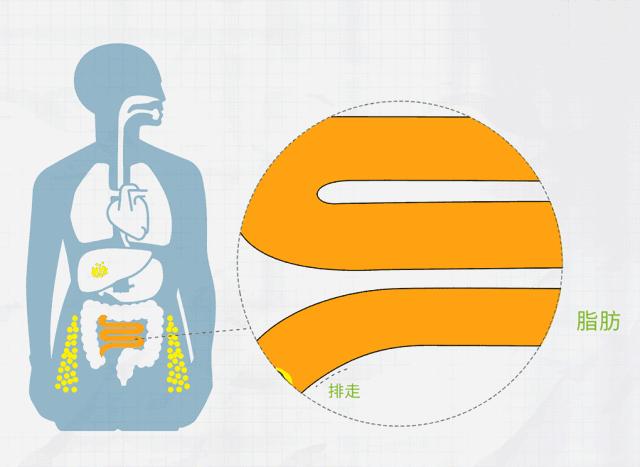 一月哪些星座桃花运最旺,10月份桃花运最强的三大星座