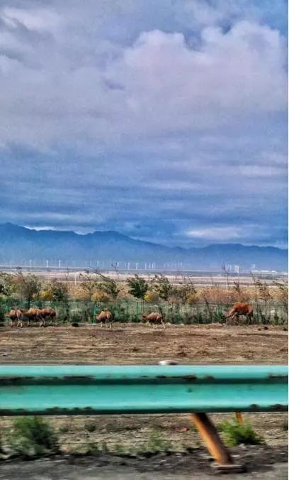 幻塔征途最新视频,环塔之旅视频