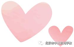 小初衔接学校活动,小初衔接