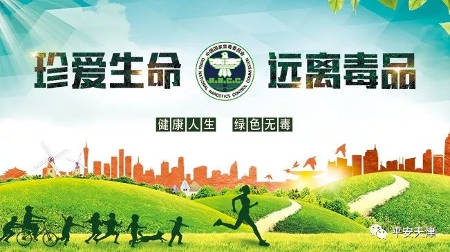 天津特大毒品案,天津特大贩毒案