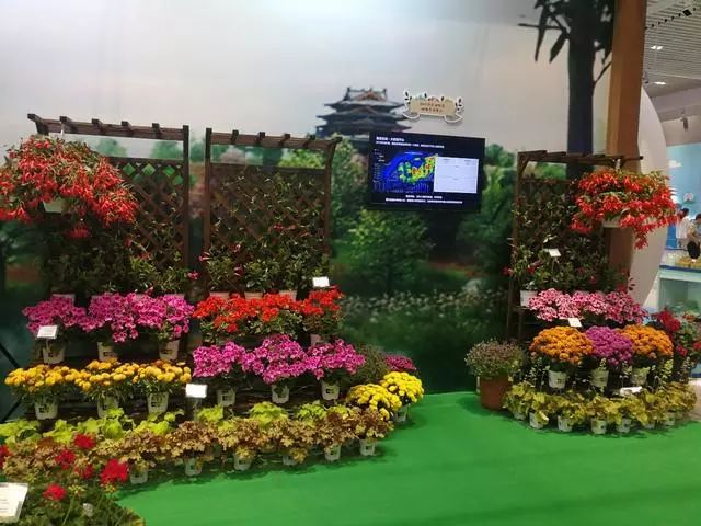 北京科技周开幕视频,北京科技周中车文化展