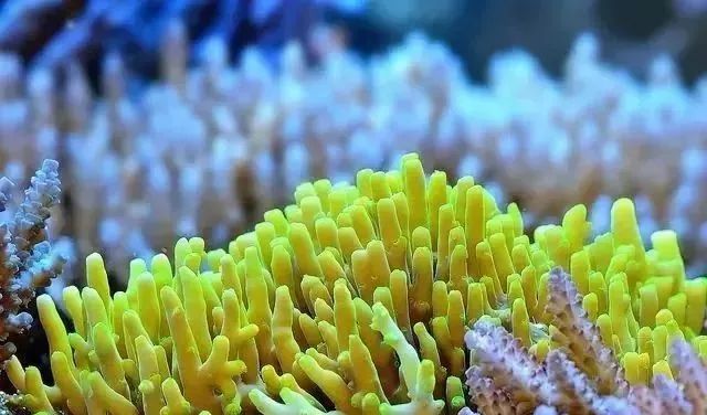 哥稳住啊，千万别在执迷不悟了！！