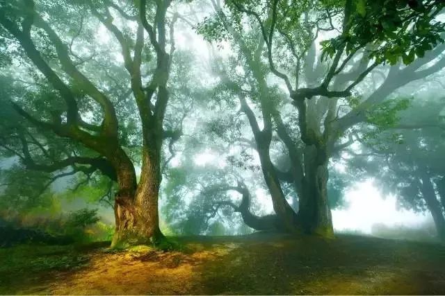 南平除了武夷山还有哪些景点,福建南平市武夷山风景区游记
