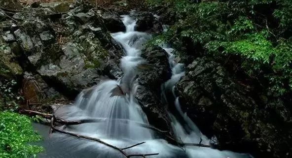 南平除了武夷山还有哪些景点,福建南平市武夷山风景区游记