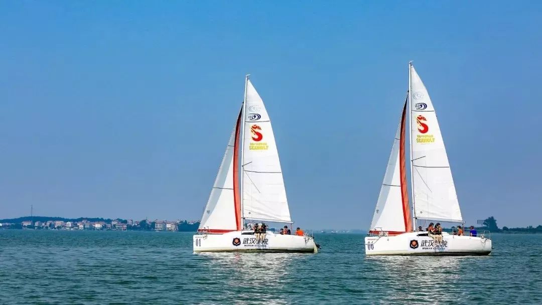 武汉学院陈一丹投资多少亿了,武汉这所大学为什么这么厉害