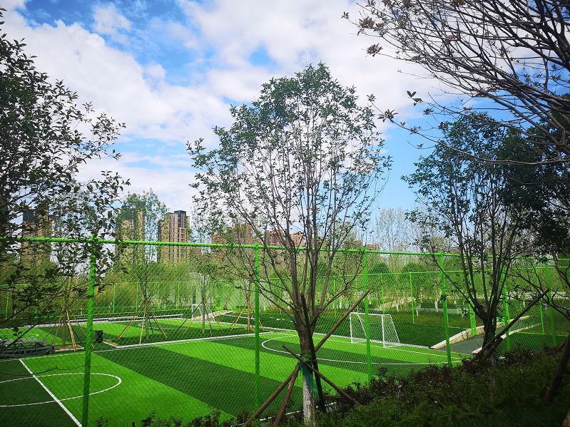 初夏可以去哪旅行,夏天周末去哪儿玩