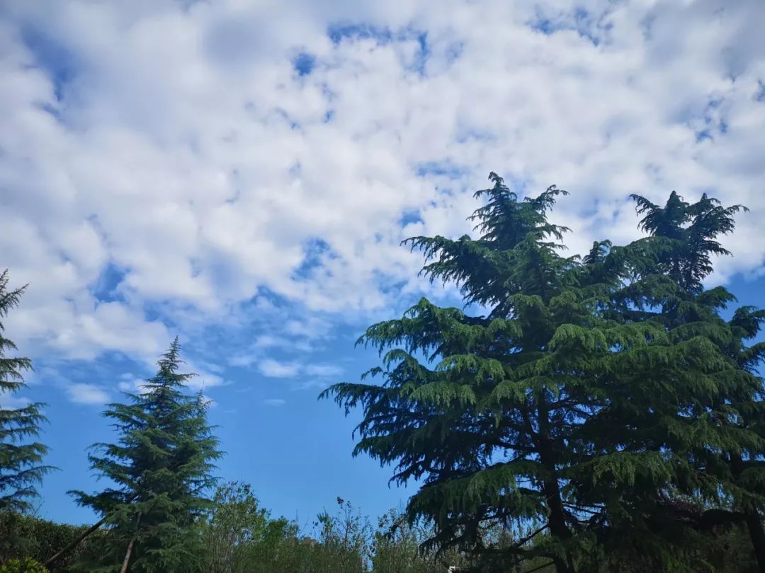 初夏可以去哪旅行,夏天周末去哪儿玩