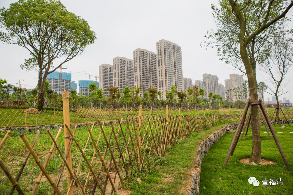 每年晋位提升，福清的颜值和实力就是这么出色