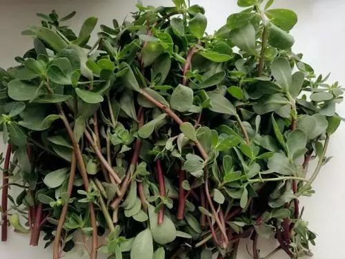 蚊虫叮咬脚气怎么办,超好用的止痒消肿的药膏蚊虫叮咬