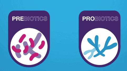 隔壁澳洲上演了被人潮包围的一幕，而这一切和新西兰也息息相关