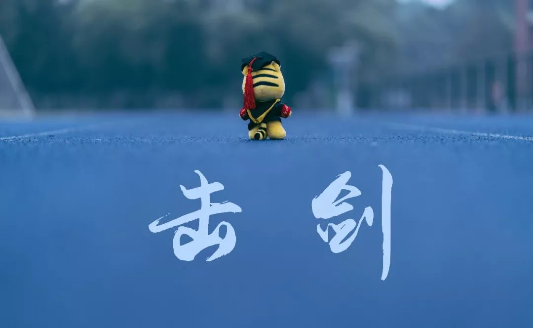 大学室内轮滑场,北京室内旱冰轮滑场