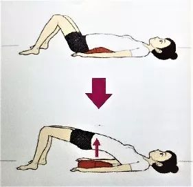 关爱女性盆底健康课程,关爱女性盆底健康讲座