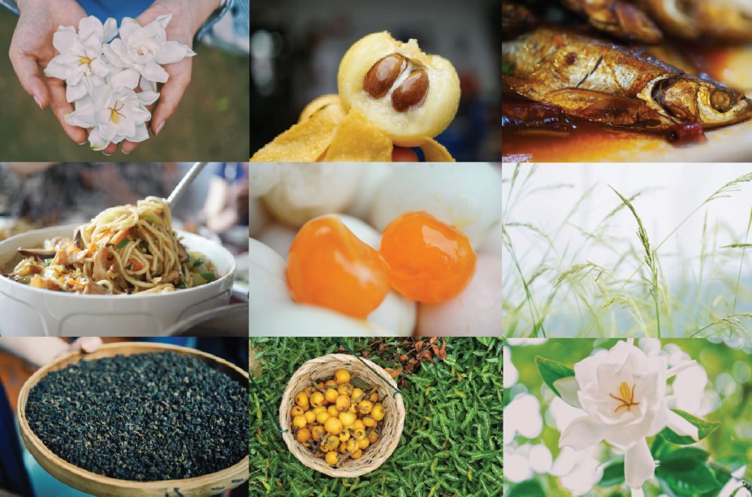 五月种草|栀子乌龙快乐水藕粉丸子葡萄酒盐