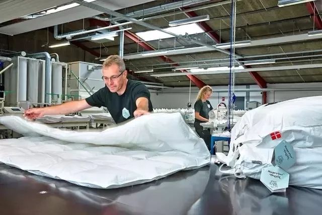 丹麦皇家乳胶枕头,丹麦珊瑚绒枕头