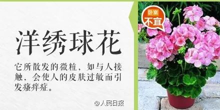 碰一下就会中毒的物质有哪些,毒物碰一下就中毒