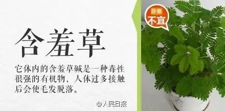 误食毒物最有效的急救方法,紧急提醒最新中毒案例