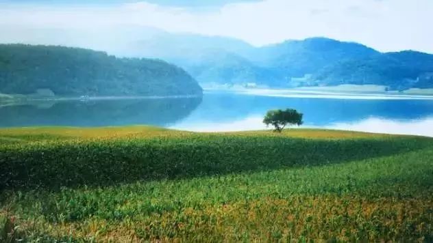 20个小众旅游城市河北沧州,漫游燕赵公园