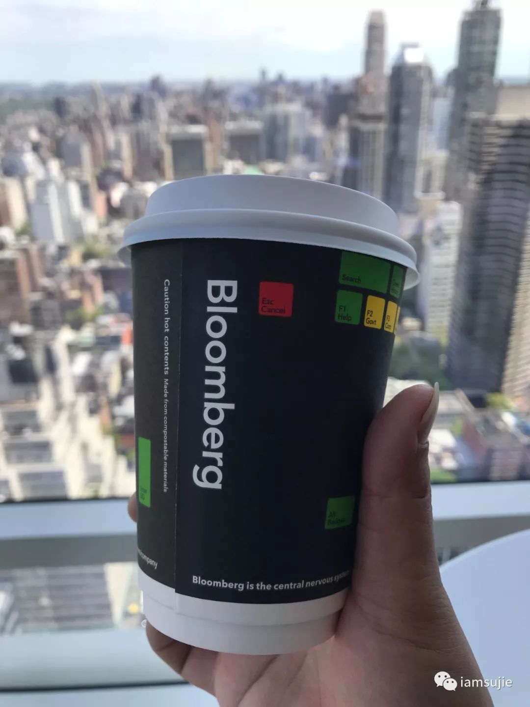 反走崛起之路4：国际大都市——纽约