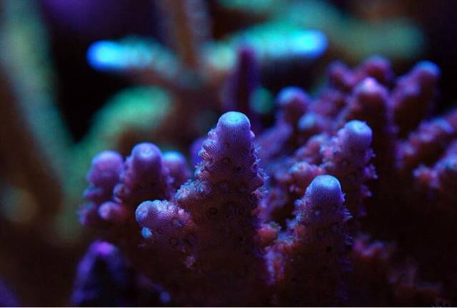 鉴定完毕就是好人吗,鉴定完毕就是亲生的没错了