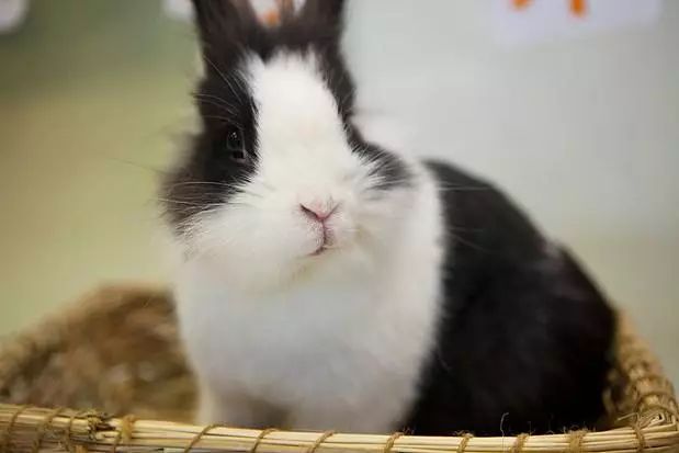 直男专用礼物大礼包,直男礼物大礼包