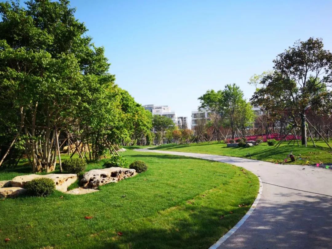 日照海曲公园开放时间,山东日照海边公园是否开放