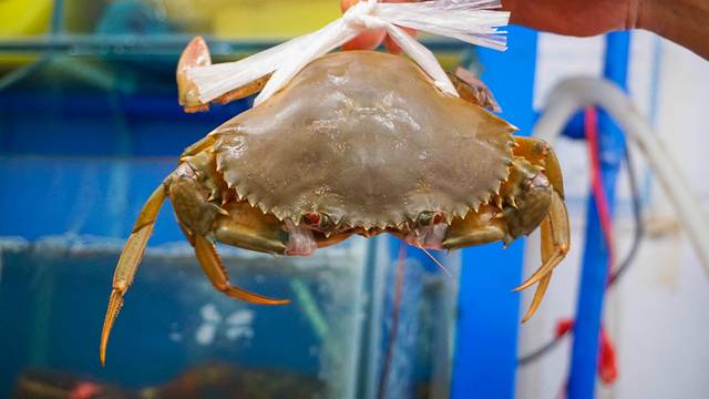 夏威夷之旅蔚蓝色的海,东方夏威夷海洋之心