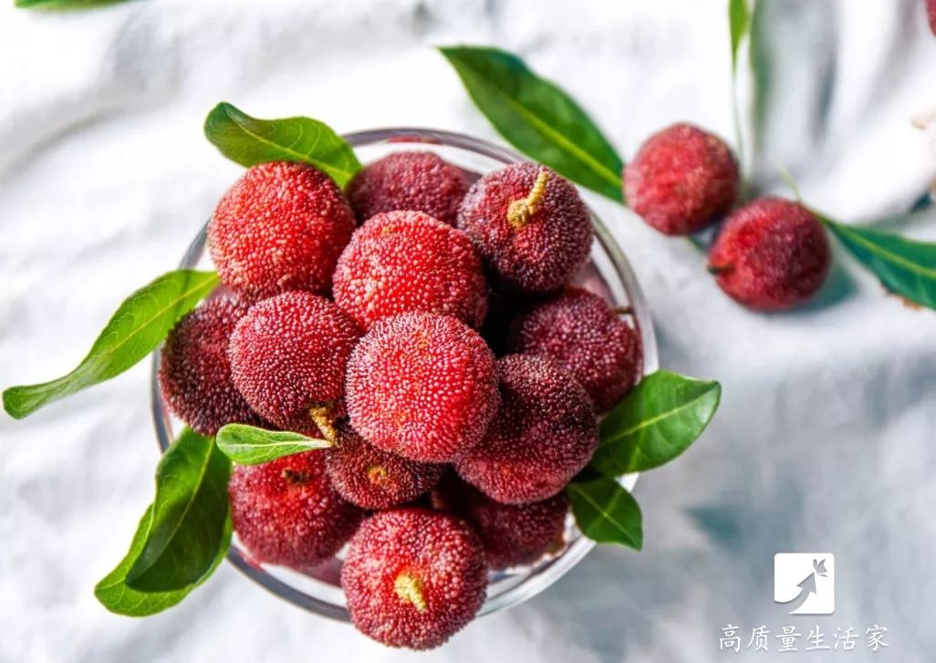 洗杨梅用什么去虫卵,洗杨梅加什么才能驱虫子呢