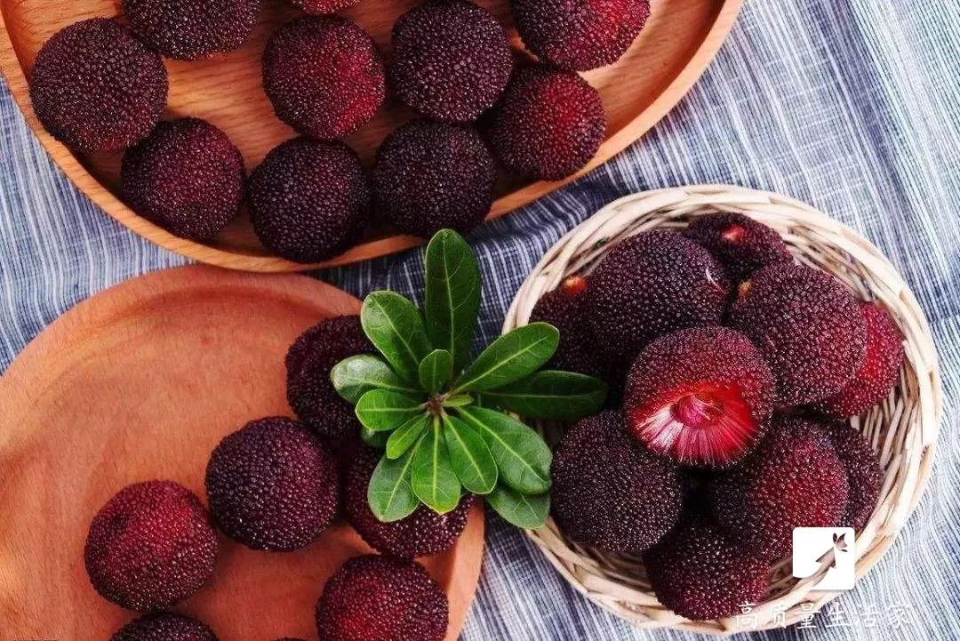 洗杨梅怎么洗虫子会跑出来,洗杨梅怎么有一层油