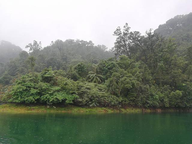 肇庆七星岩鼎湖山自助游,肇庆鼎湖山和七星岩相距多远