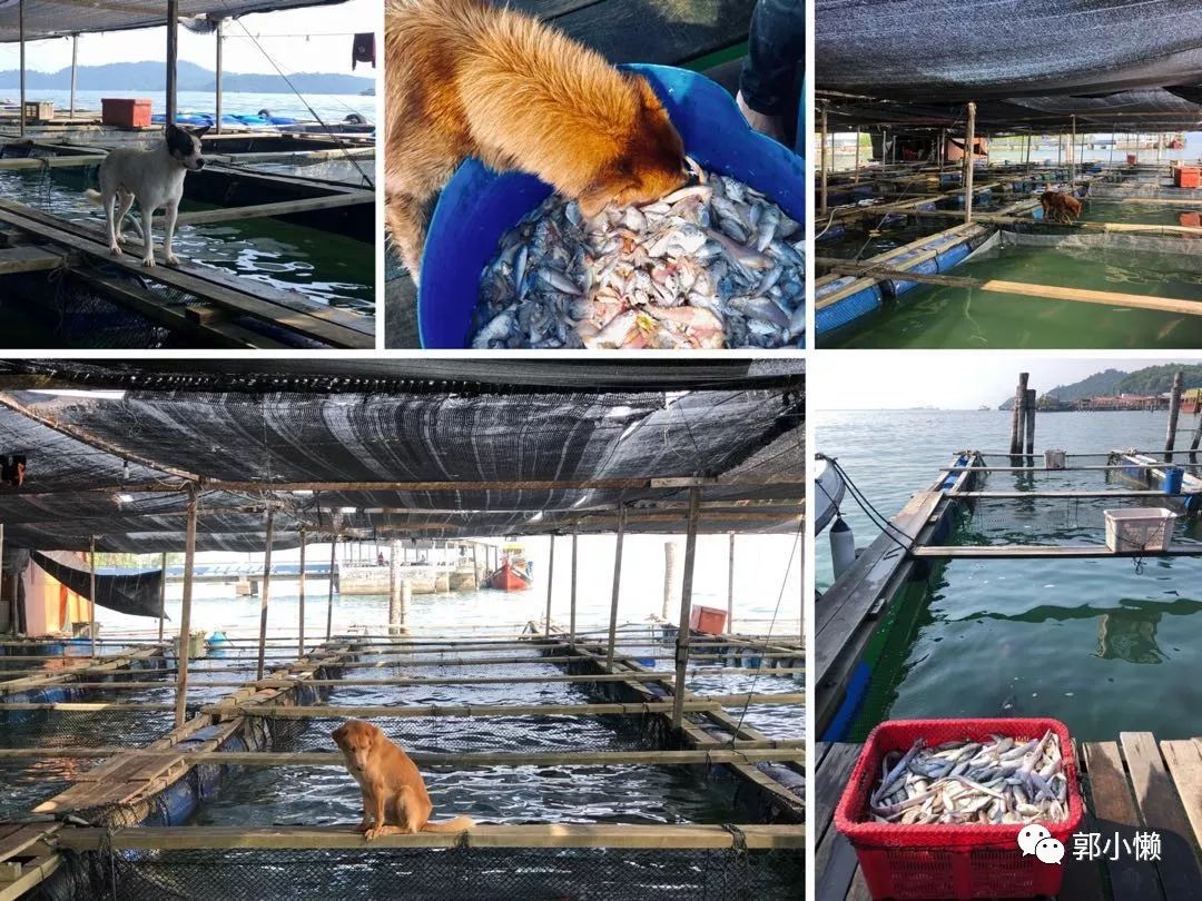 马来西亚绿中海度假村旅游多少钱,马来西亚绿中海度假村攻略