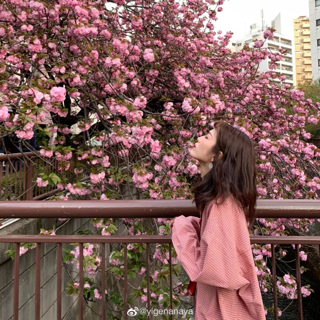 写真馆有什么衣服,超好看的衣服店推荐