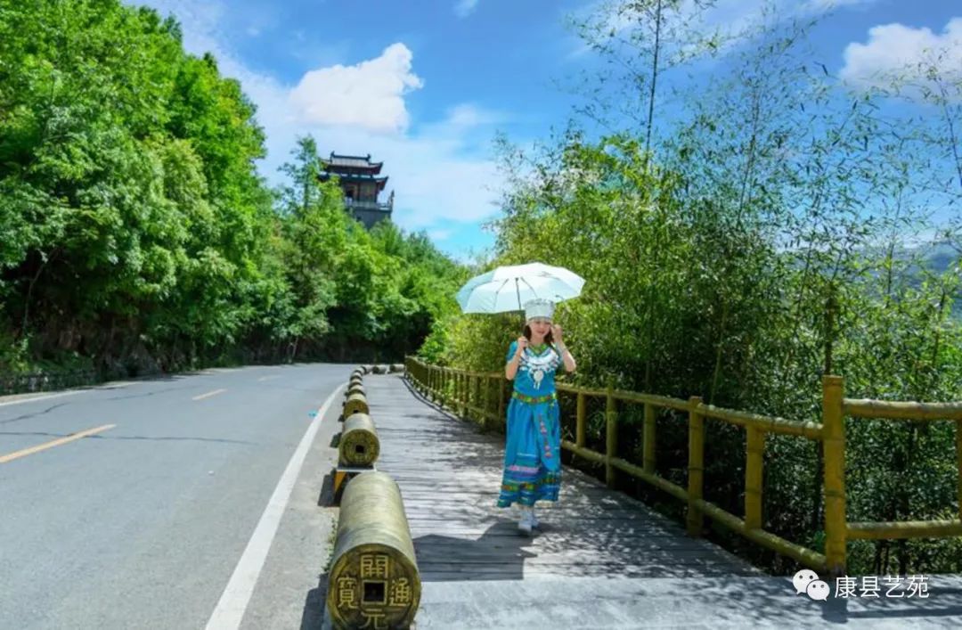 陕西一个作家最多的地方,陕西安康的出名作家