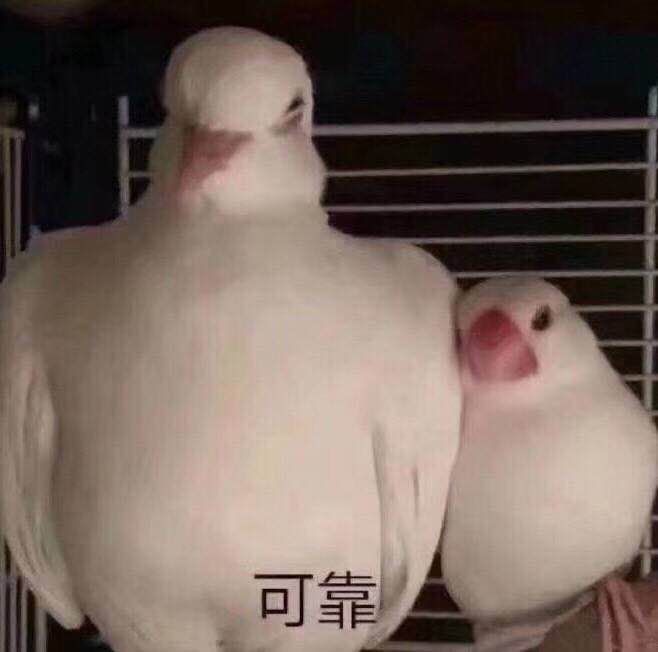 大s年轻的时候对自己有多严格 (大s为什么看起来这么年轻)