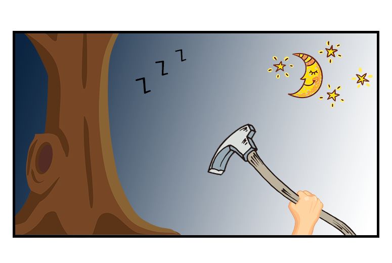 红豆杉树皮正确的吃法,红豆杉树皮的正确吃法