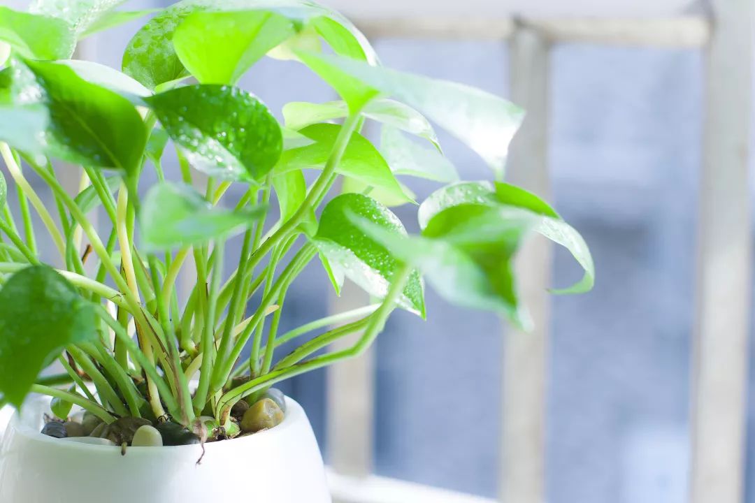 好天气好心情图片,好天气好心情的句子