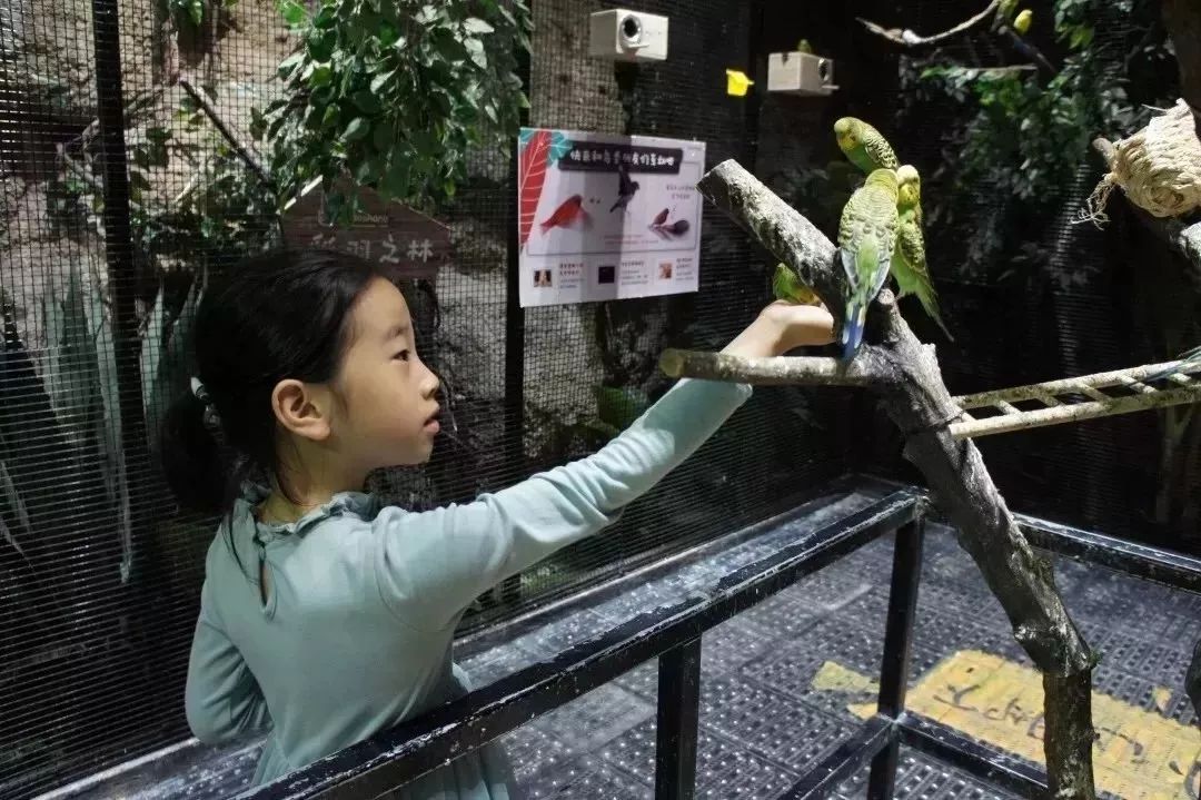 超好玩儿的游戏手机版,超好玩的联机游戏手机版