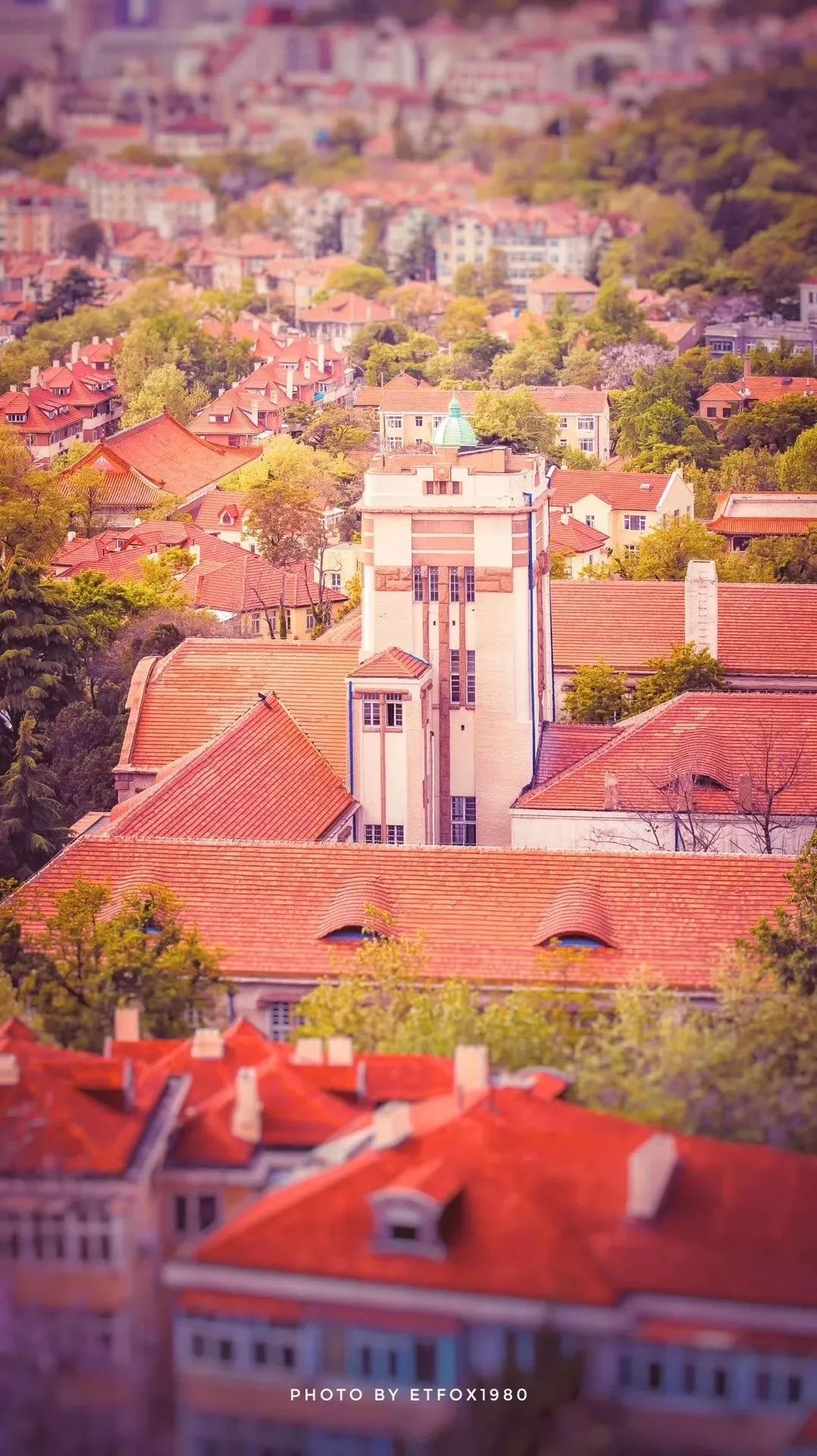 青岛一座浓厚德式风情的海滨城市,青岛一座很美的城市