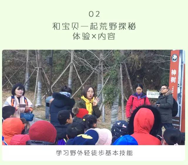 大熊猫铲屎官,都江堰熊猫谷铲屎官报名