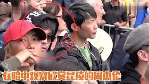 Festival丨宠爱你们，才是这个夏天最浪漫的事！