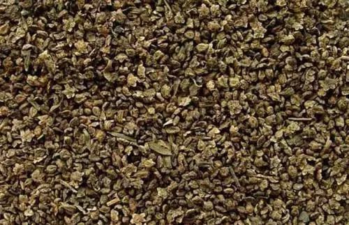 蚊虫叮咬脚气怎么办,超好用的止痒消肿的药膏蚊虫叮咬