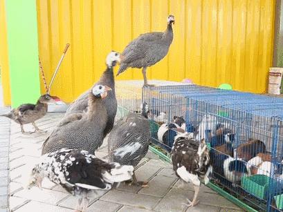 集美最适合去的地方,集美值得去的地方