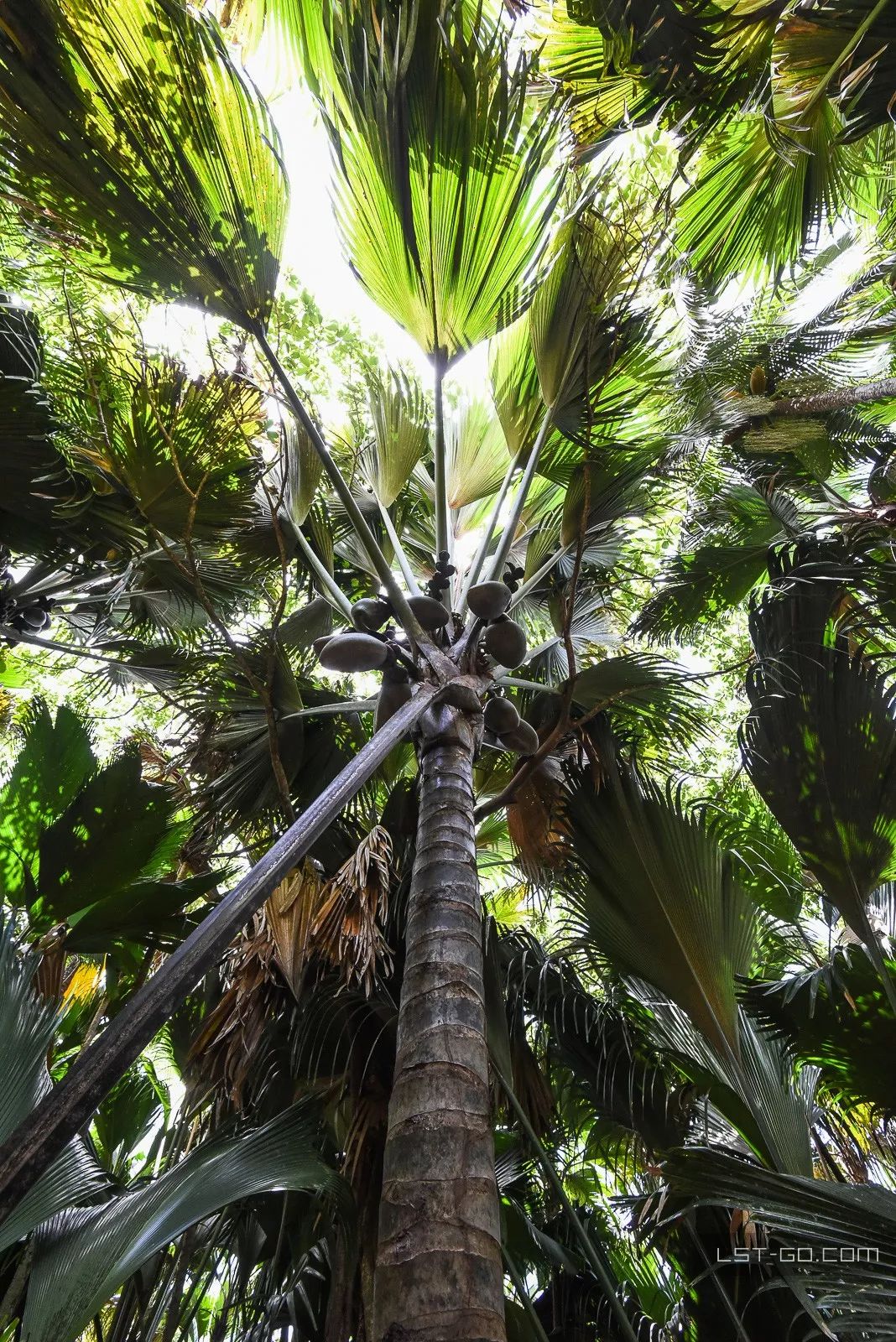 这些海岛人少景美不输马代,马尔代夫一价全包亲子游岛屿推荐