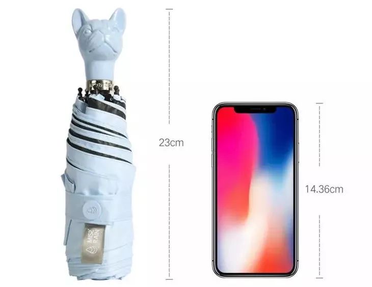 不惧台风的雨伞,无惧风雨的摩托车雨衣